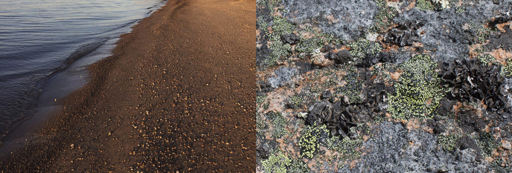 The Islands Residency